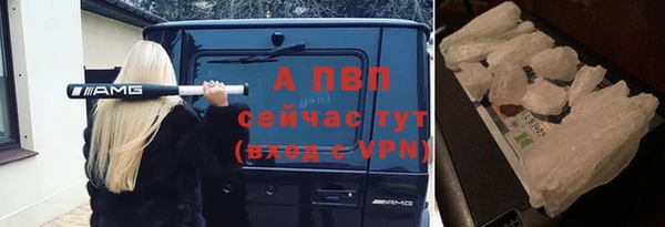 прущие крисы Абаза