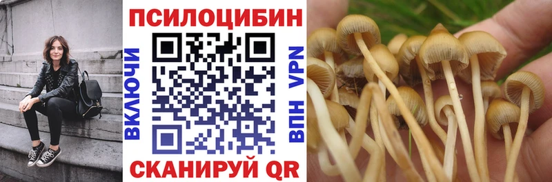 где купить наркотик  Уржум  Галлюциногенные грибы Psilocybine cubensis 