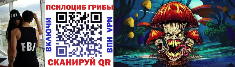 Галлюциногенные грибы Cubensis Уржум